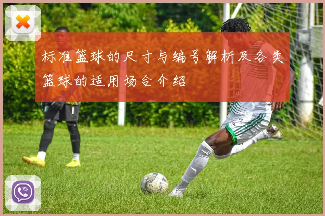 标准篮球的尺寸与编号解析及各类篮球的适用场合介绍