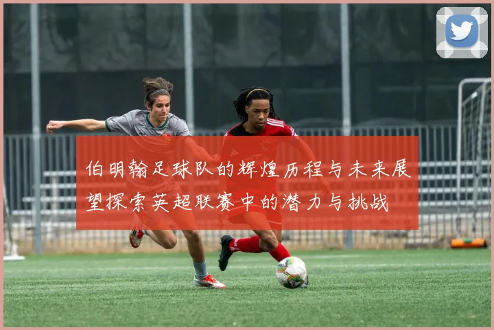 伯明翰足球队的辉煌历程与未来展望探索英超联赛中的潜力与挑战