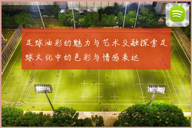 足球油彩的魅力与艺术交融探索足球文化中的色彩与情感表达
