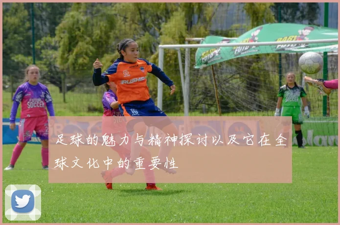 足球的魅力与精神探讨以及它在全球文化中的重要性